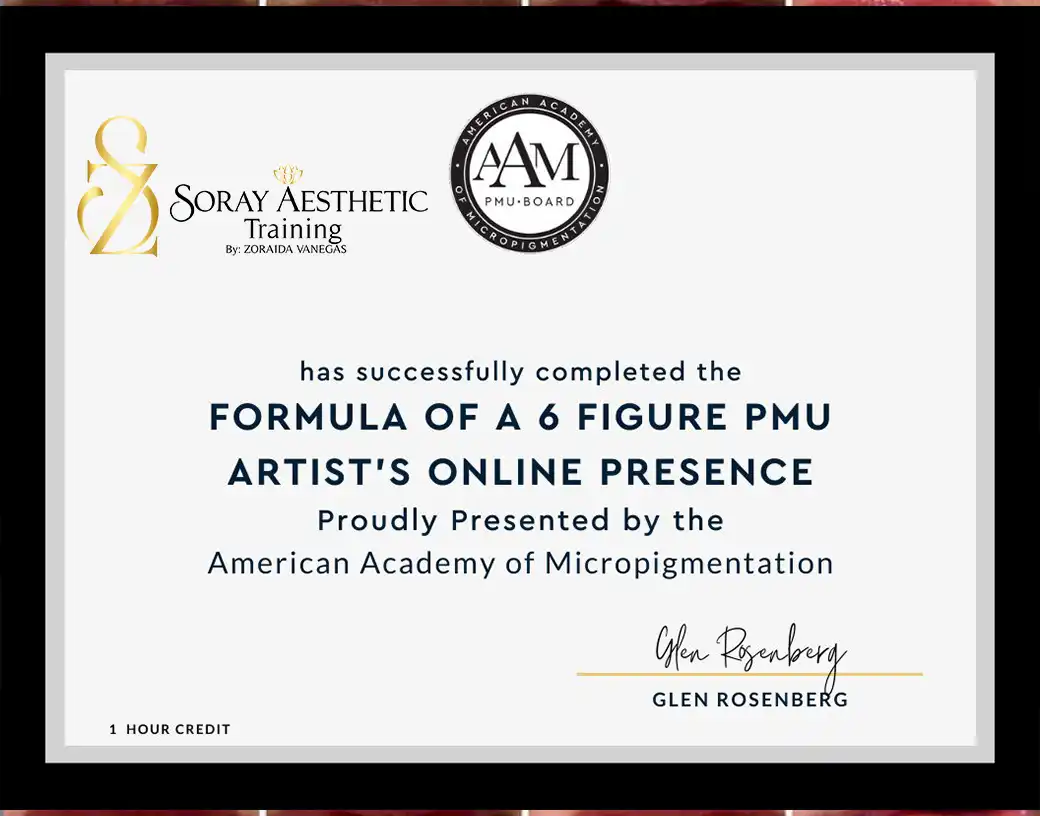 Formula of a 6 Figure PMU Artist’s Online Presence — Presencia digital del profesional PMU · AAM