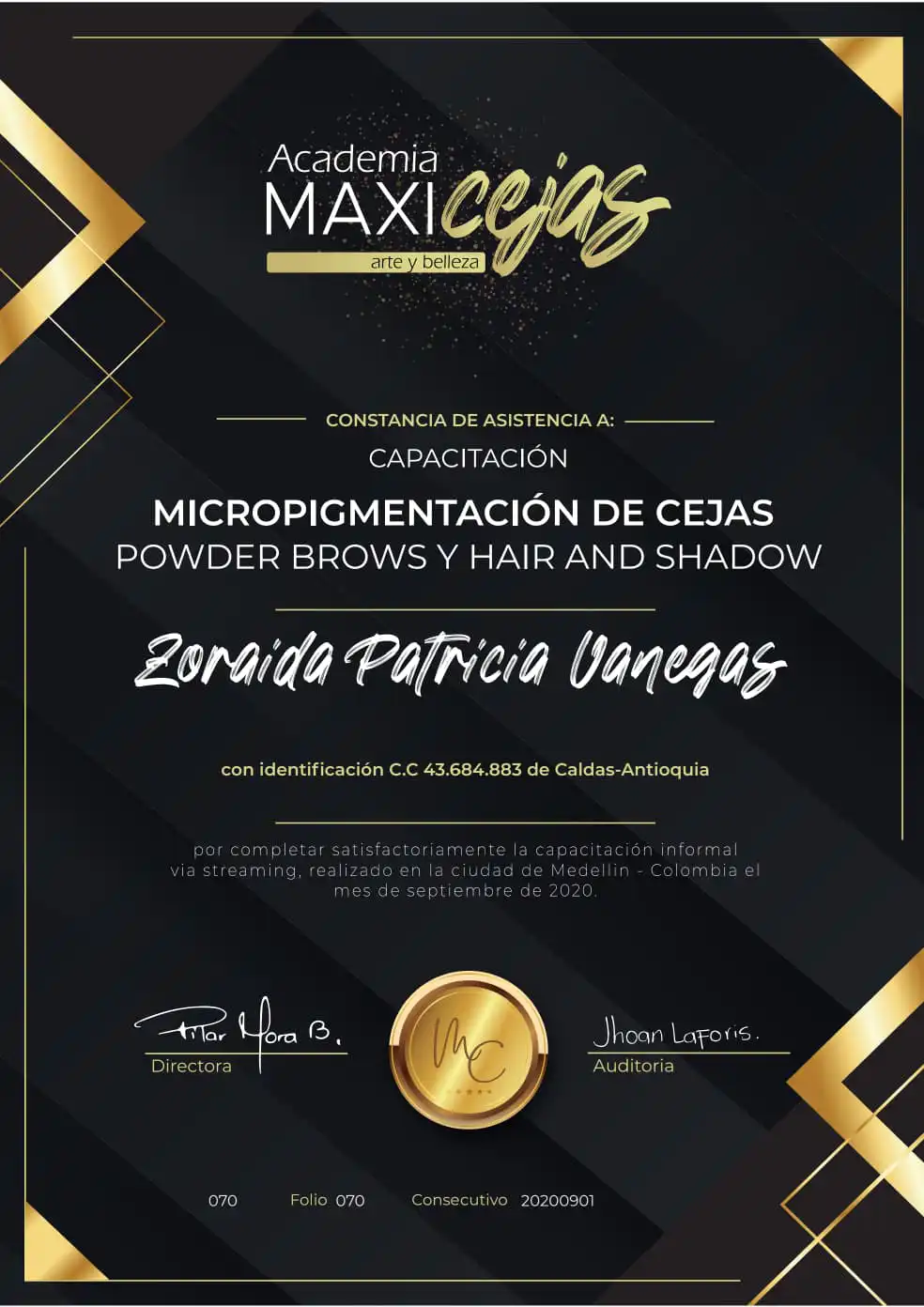 Powder Brows y Hair and Shadow — Academia Maxicejas · 2020
